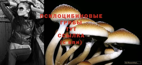 трава Пересвет