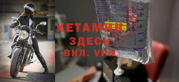 хмурый Белокуриха