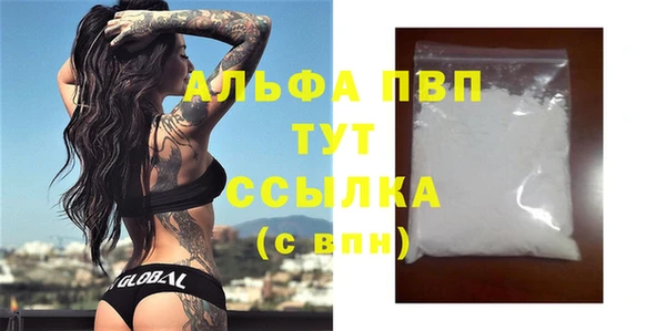 хмурый Белокуриха
