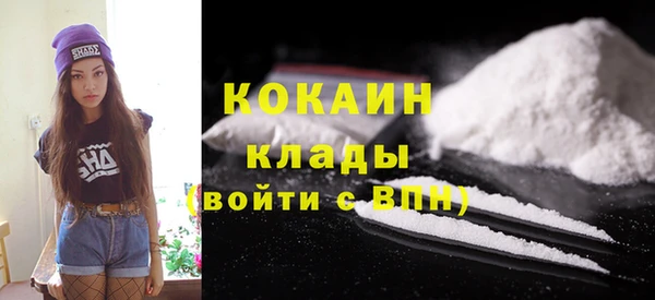 хмурый Белокуриха