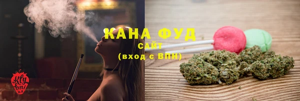 хмурый Белокуриха