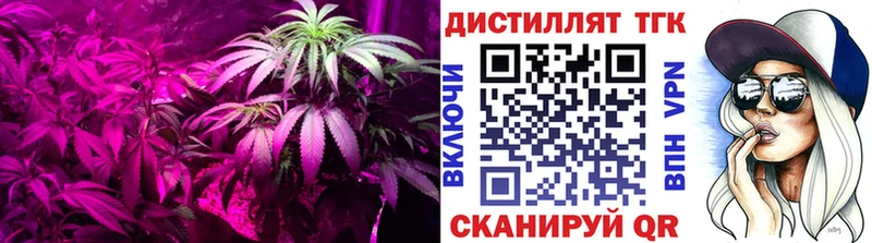 купить наркотики цена  Шлиссельбург  Дистиллят ТГК вейп 