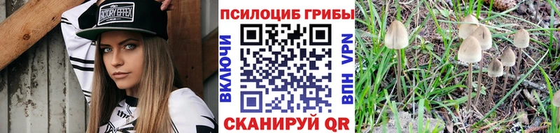 Псилоцибиновые грибы ЛСД  Шлиссельбург 